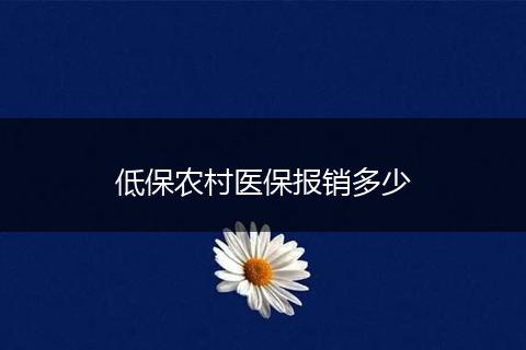 低保农村医保报销多少