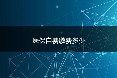 医保自费缴费多少