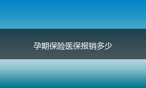 孕期保险医保报销多少