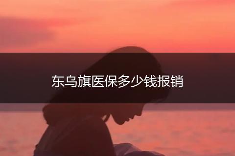 东乌旗医保多少钱报销