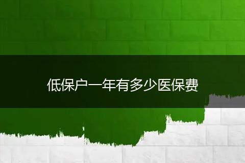低保户一年有多少医保费