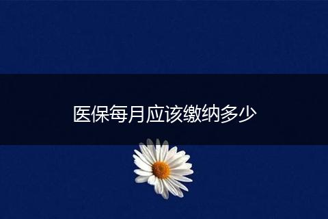 医保每月应该缴纳多少