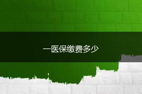 一医保缴费多少