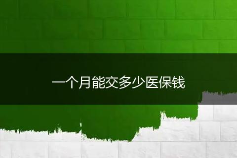 一个月能交多少医保钱
