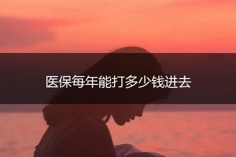 医保每年能打多少钱进去
