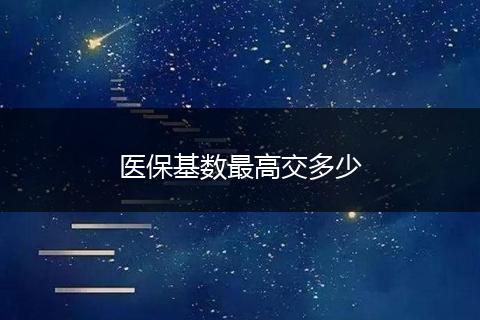 医保基数最高交多少