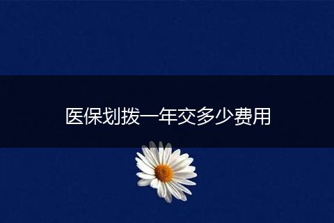 医保划拨一年交多少费用