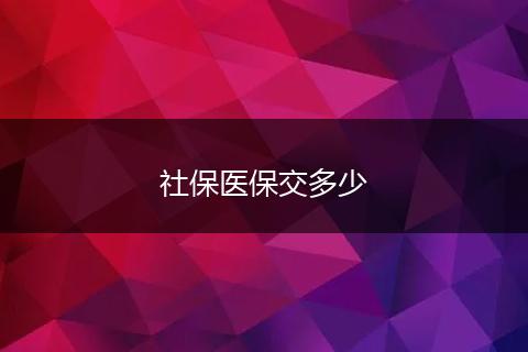社保医保交多少