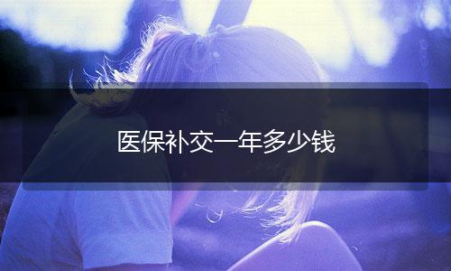 医保补交一年多少钱