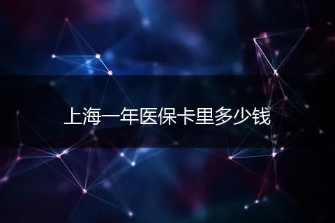 上海一年医保卡里多少钱