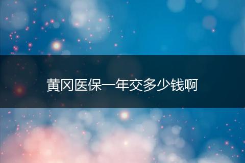 黄冈医保一年交多少钱啊