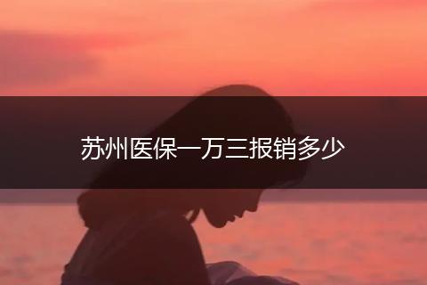 苏州医保一万三报销多少