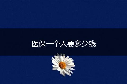 医保一个人要多少钱