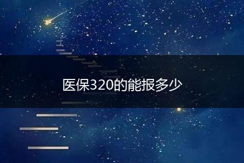 医保320的能报多少