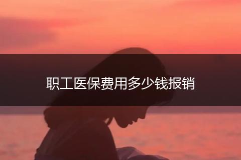 职工医保费用多少钱报销