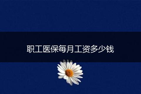 职工医保每月工资多少钱