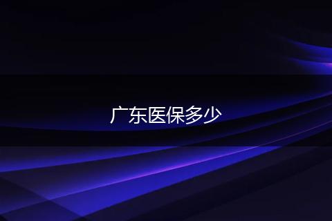广东医保多少
