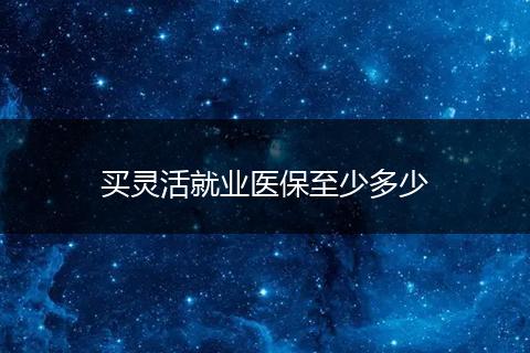 买灵活就业医保至少多少