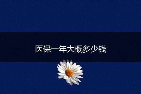 医保一年大概多少钱