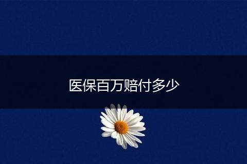 医保百万赔付多少