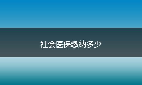 社会医保缴纳多少