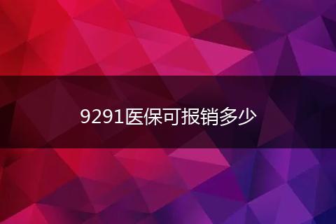 9291医保可报销多少