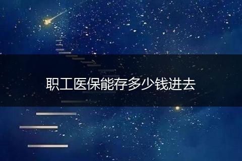 职工医保能存多少钱进去