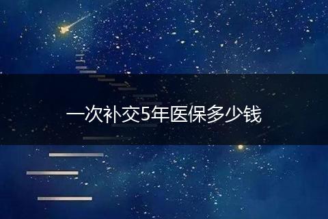 一次补交5年医保多少钱