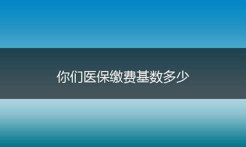 你们医保缴费基数多少