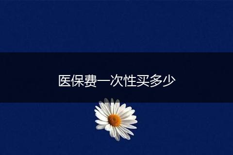 医保费一次性买多少