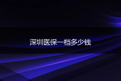 深圳医保一档多少钱