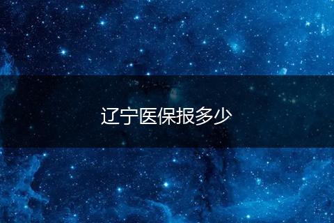 辽宁医保报多少