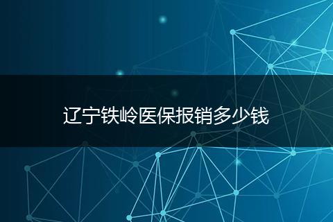 辽宁铁岭医保报销多少钱