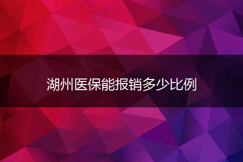 湖州医保能报销多少比例