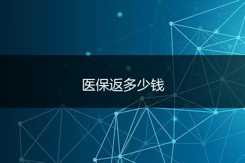 医保返多少钱