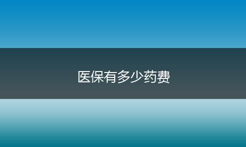 医保有多少药费