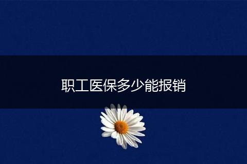 职工医保多少能报销