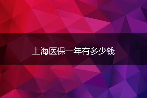 上海医保一年有多少钱