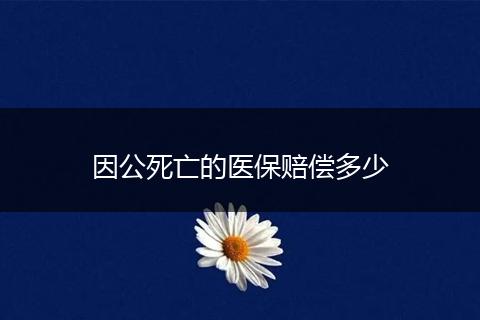 因公死亡的医保赔偿多少