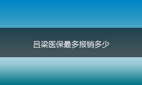 吕梁医保最多报销多少
