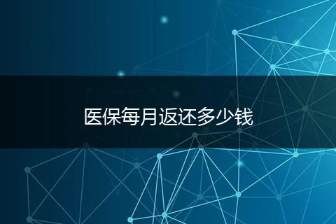 医保每月返还多少钱