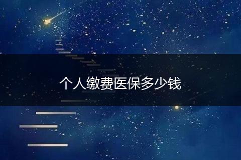 个人缴费医保多少钱