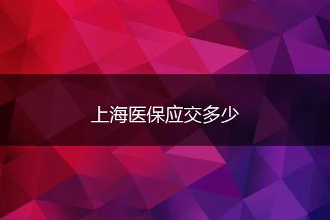 上海医保应交多少