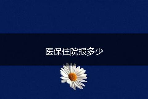 医保住院报多少