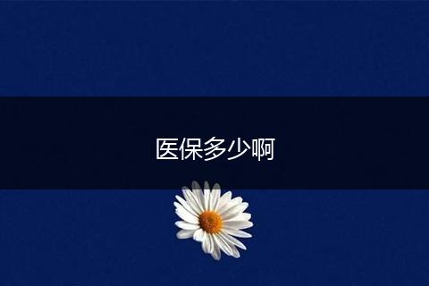 医保多少啊
