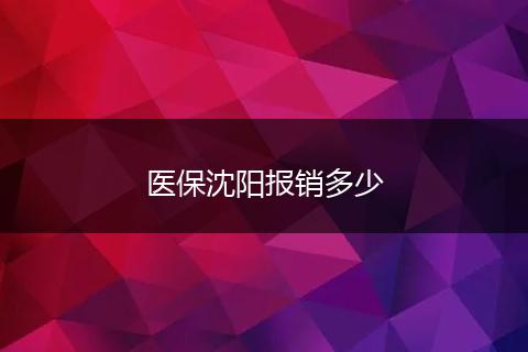 医保沈阳报销多少
