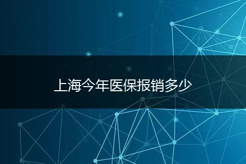 上海今年医保报销多少