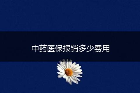 中药医保报销多少费用