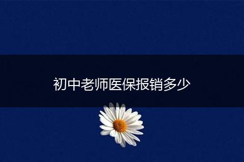 初中老师医保报销多少