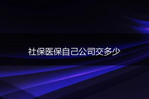 社保医保自己公司交多少